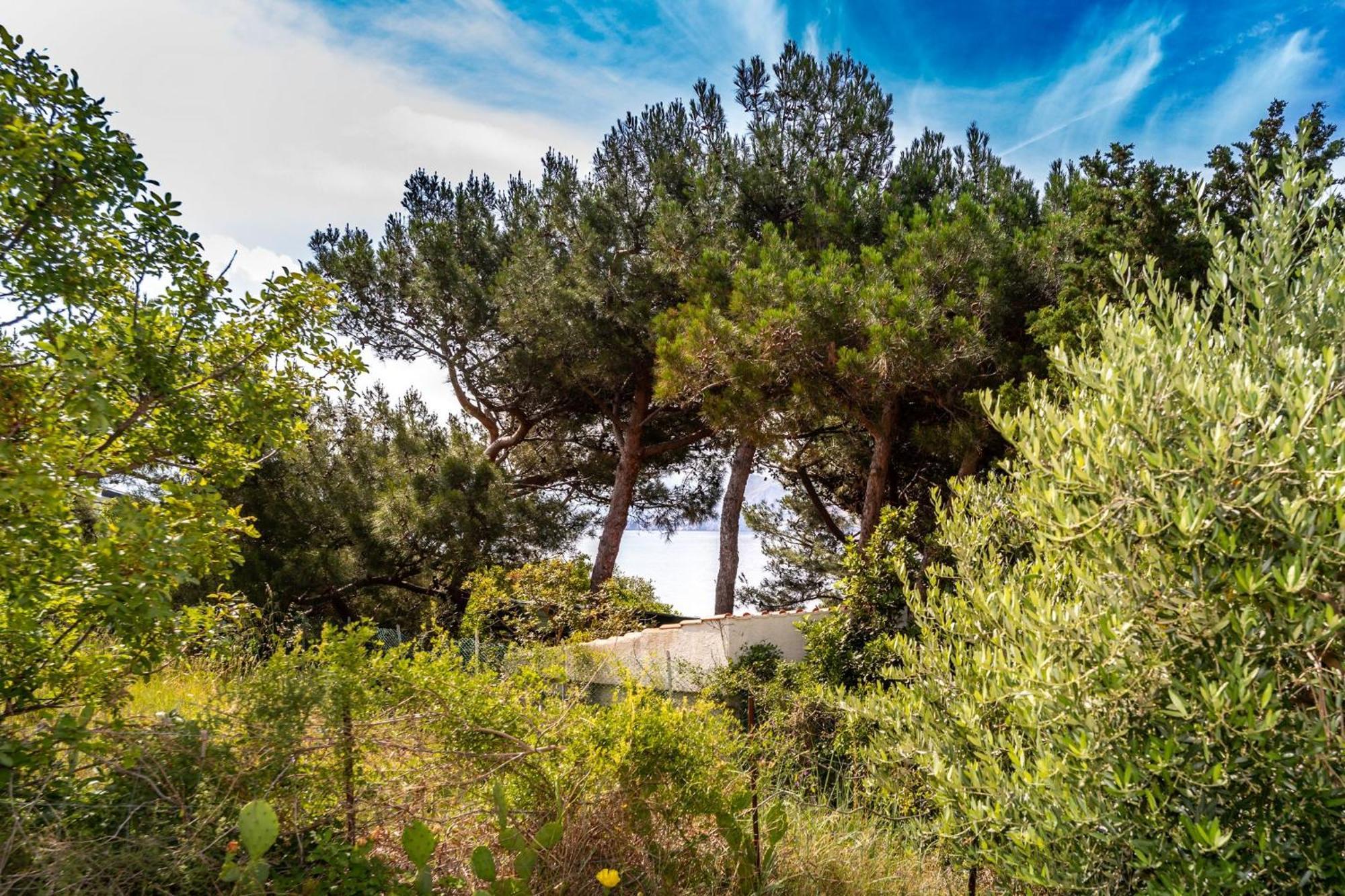 Apartments Oleander Kricin باشْكا المظهر الخارجي الصورة